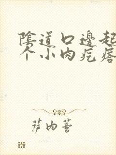 阴道口边起了一个小肉疙瘩