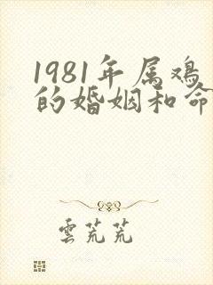 1981年属鸡的婚姻和命运如何