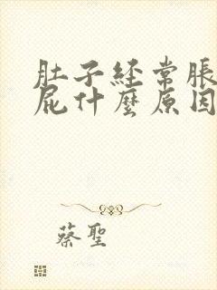 肚子经常胀气放屁什么原因封面