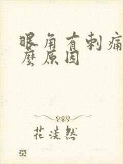 眼角有刺痛感什么原因