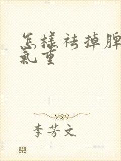 怎样祛掉脾胃湿气重