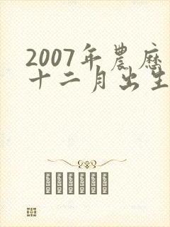 2007年农历十二月出生的命