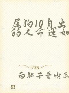 属狗10月出生的人命运如何