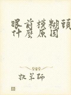 眼前模糊头晕是什么原因