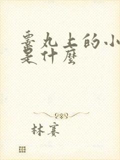 睾丸上的小疙瘩是什么