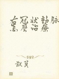 右冠状动脉斑块怎么治疗