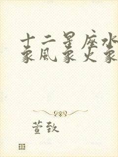 十二星座水象土象风象火象封面