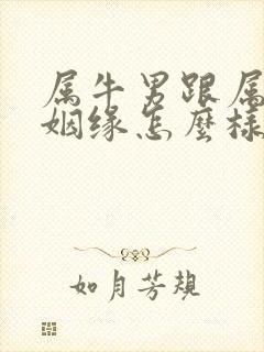 属牛男跟属狗女姻缘怎么样封面