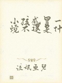 小孩感冒一直发烧不退是什么原因