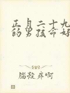 正月二十九出生的男孩命好吗