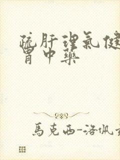 疏肝理气健脾和胃中药