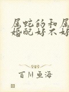 属蛇的和属兔的婚配好不好封面