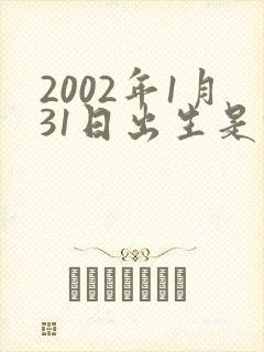 2002年1月31日出生是什么命封面