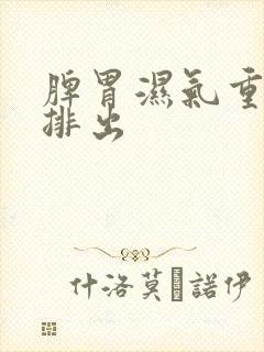 脾胃湿气重怎样排出