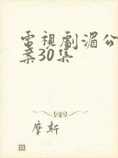 电视剧湄公河大案30集