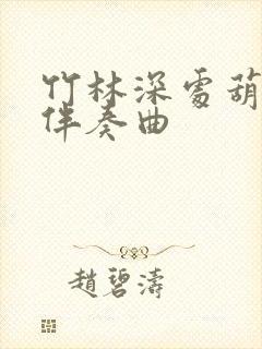 竹林深处葫芦丝伴奏曲封面