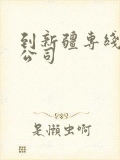 到新疆专线物流公司封面