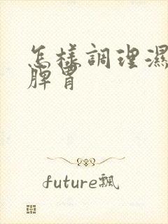 怎样调理湿气重脾胃