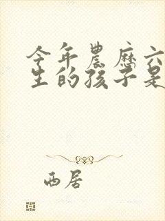 今年农历六月出生的孩子是什么命