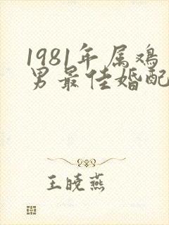 1981年属鸡男最佳婚配属相