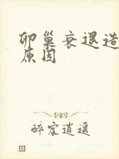 卵巢衰退造成的原因封面