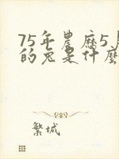 75年农历5月的兔是什么命