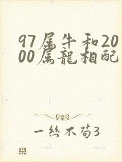 97属牛和2000属龙相配吗封面