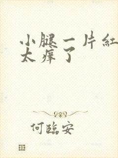 小腿一片红疹子太痒了