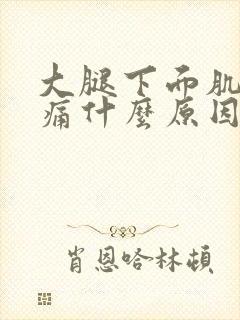 大腿下面肌肉酸痛什么原因