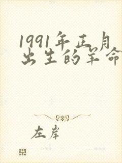 1991年正月出生的羊命运如何