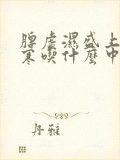 脾虚湿盛上热下寒吃什么中成药