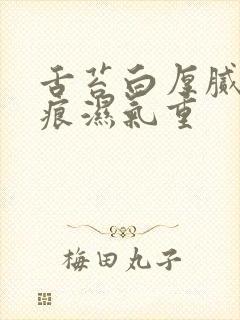 舌苔白厚腻有齿痕湿气重