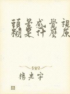 头晕感觉视力模糊是什么原因