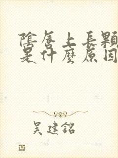 阴唇上长颗粒痒是什么原因