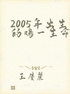 2005年出生的鸡一生命运