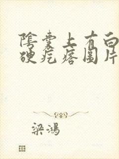 阴囊上有白色的硬疙瘩图片