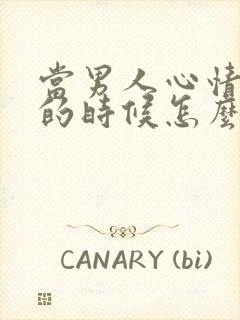 当男人心情不好的时候怎么安慰他