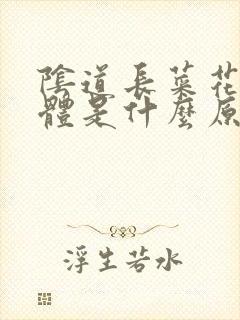 阴道长菜花状疣体是什么原因