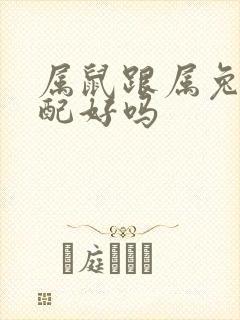 属鼠跟属兔的婚配好吗封面