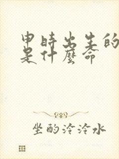 申时出生的男孩是什么命封面