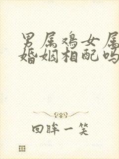 男属鸡女属狗的婚姻相配吗