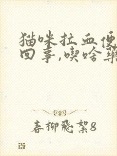 猫咪拉血便怎么回事,吃啥药