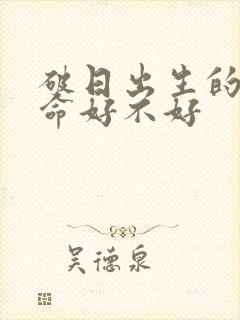 破日出生的男孩命好不好封面