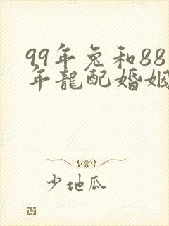 99年兔和88年龙配婚姻好不好