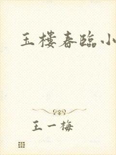 玉楼春临小说封面
