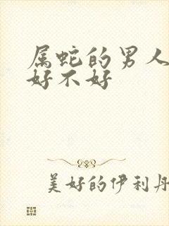 属蛇的男人命运好不好