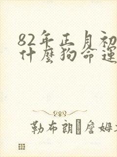 82年正月初六什么狗命运好