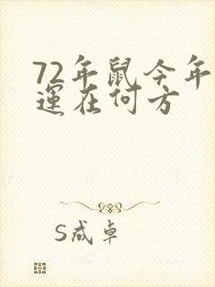 72年鼠今年财运在何方