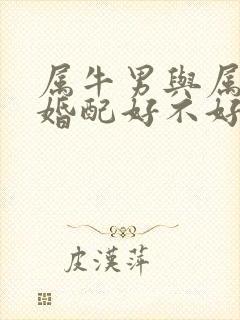 属牛男与属龙女婚配好不好