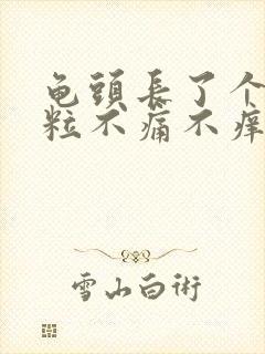 龟头长了个小肉粒不痛不痒封面